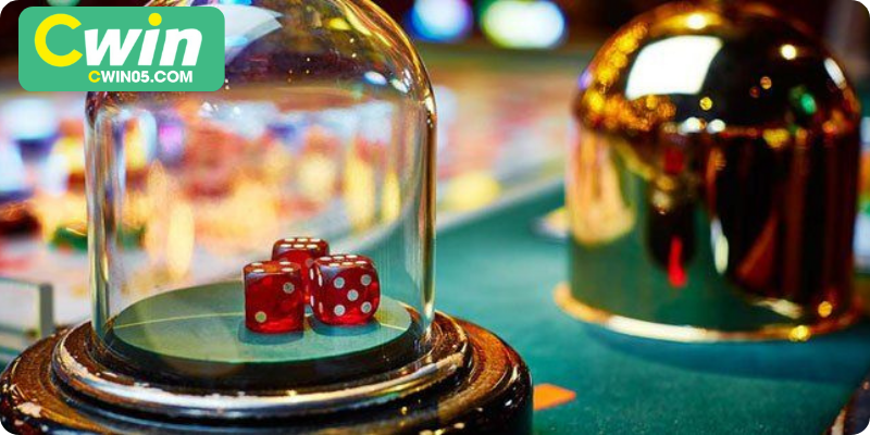 Lịch Sử Phát Triển